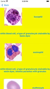 Immune Cells Tutor screenshot 4