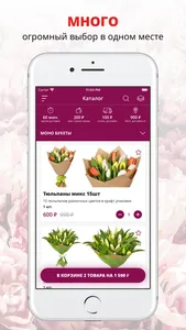 Новоцвет | Стерлитамак screenshot 0