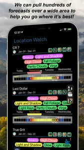 The Light Watch screenshot 4