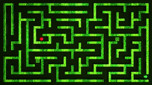 Steel Ball Maze screenshot 4