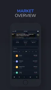 Vision: Crypto Bitcoin Wallet screenshot 1