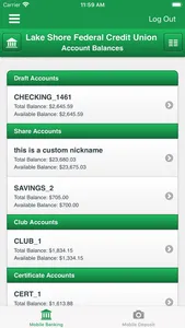 Lake Shore FCU screenshot 1