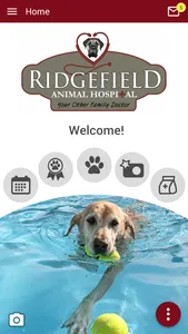 Ridgefield Animal Hospital screenshot 0