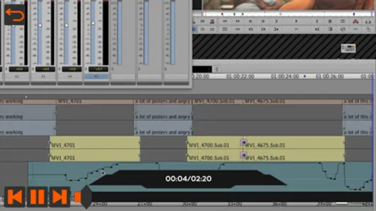 Work With Audio Guide For MC screenshot 2
