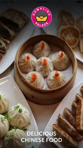 Dumpling Palace Boston screenshot 0