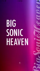 Big Sonic Heaven Radio screenshot 0