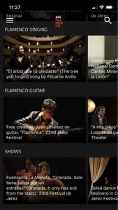 ALL FLAMENCO screenshot 4