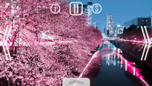 Relax Nature: Sakura screenshot 0