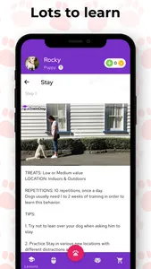 eTrainDog:Walkers & Trainings screenshot 3