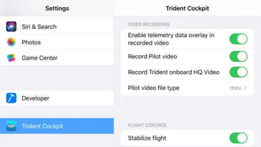 Trident Cockpit screenshot 5