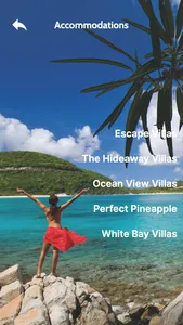 Visit BVI screenshot 1