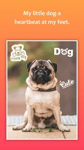 Pet Photo Editor - Pet Picture screenshot 4