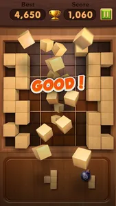 Block Puzzle 99 screenshot 2