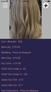 Hair by Sophie screenshot 1