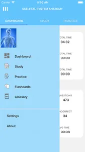 Learn Skeletal System screenshot 1