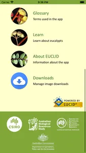 EUCLID Eucalypts of Australia screenshot 1