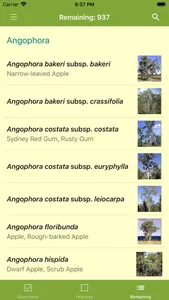 EUCLID Eucalypts of Australia screenshot 4