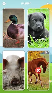 Sounds of Farm, Wild Animals! screenshot 4