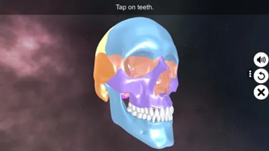 Incredible Human Teeth screenshot 0