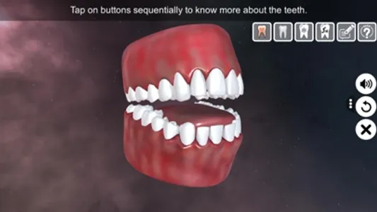 Incredible Human Teeth screenshot 1