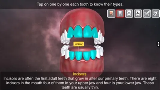 Incredible Human Teeth screenshot 3