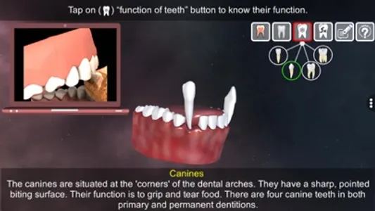 Incredible Human Teeth screenshot 4