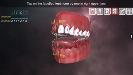 Incredible Human Teeth screenshot 5