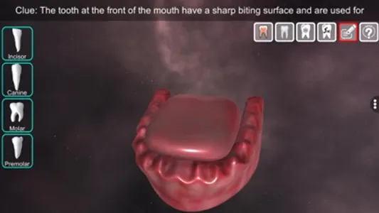 Incredible Human Teeth screenshot 6