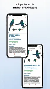 Sasol eBirds Southern Africa screenshot 2