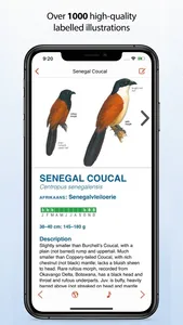 Sasol eBirds Southern Africa screenshot 4