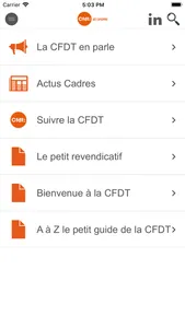 CFDT UES CAPGEMINI screenshot 2