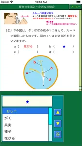 ダンケ理科中学１年 screenshot 3