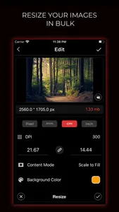 Bulk Image Editor screenshot 0