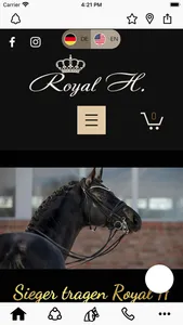 Royal H. screenshot 0