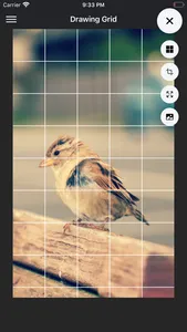 DrawinGrid screenshot 0