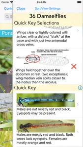 Damselflies of MN, WI, & MI screenshot 2