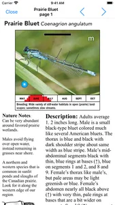 Damselflies of MN, WI, & MI screenshot 3