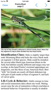 Damselflies of MN, WI, & MI screenshot 4