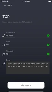 Packet Generator screenshot 1