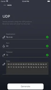 Packet Generator screenshot 2
