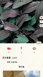 逝念 screenshot 3