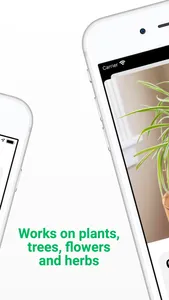 Plant ID - Identify Plants screenshot 1