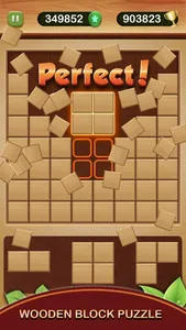 Wood Block Puzzle Box 2023 screenshot 1