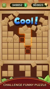 Wood Block Puzzle Box 2023 screenshot 3