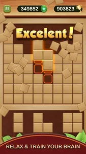 Wood Block Puzzle Box 2023 screenshot 5