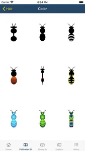 PolliNation ID screenshot 5