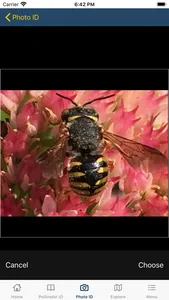 PolliNation ID screenshot 6