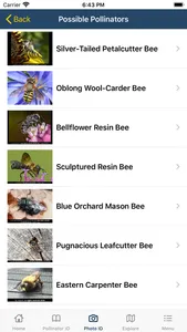 PolliNation ID screenshot 8