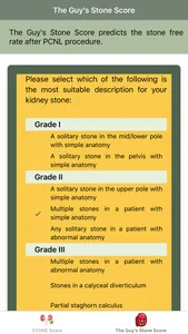 Kidney Stone Scoring screenshot 1