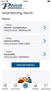 Paulin Insurance Assoc. Online screenshot 1